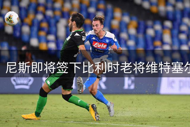 尼斯即将签下比利时老将维特塞尔