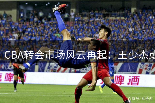 CBA转会市场风云再起：王少杰或成辽宁男篮内线新篇章